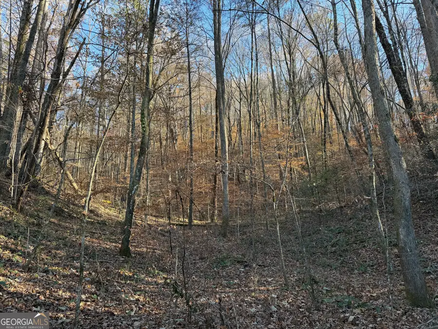 0 Whitepath Road, Ellijay, GA 30540 - #3