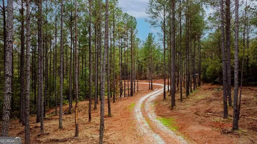 1279 Lanier Road, White Plains, GA 30678 - Image #3