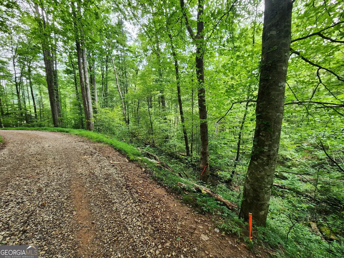 TRACT 2A Poplar Cove Trail, Suches, GA 30572 - Image #1