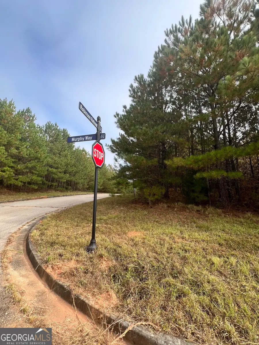 0 St Lucia Sunrise, Conyers, GA 30094 - Image #3