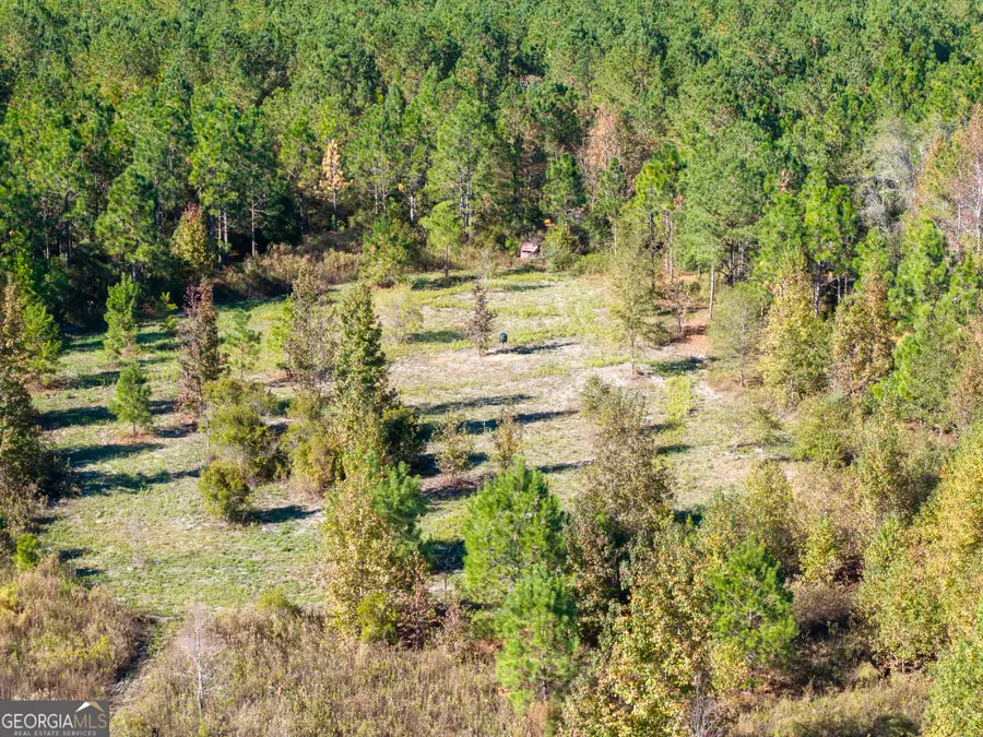 1 Henry Moxley Road, Cobbtown, GA 30420 - Image #3