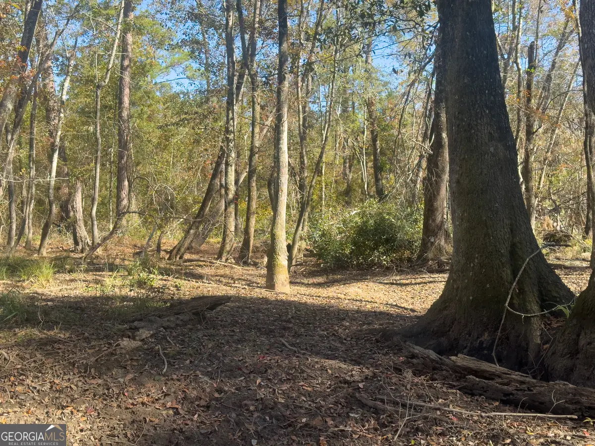 2 Henry Moxley Road, Cobbtown, GA 30420 - Image #1