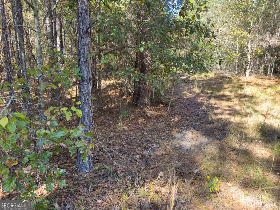 2 Henry Moxley Road, Cobbtown, GA 30420 - Image #2