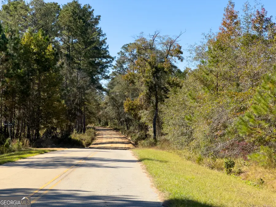 2 Henry Moxley Road, Cobbtown, GA 30420 - Image #3