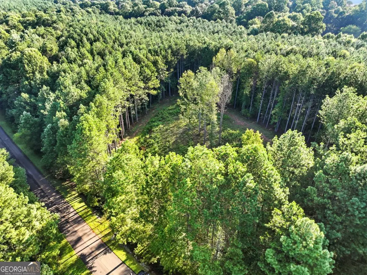 31&32 Foxpaw Leaf Lane, Ellijay, GA 30536 - Image #1