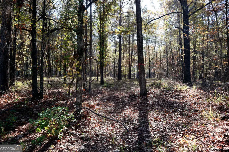 511 Jamesway Drive, Sparta, GA 31087 - Image #1