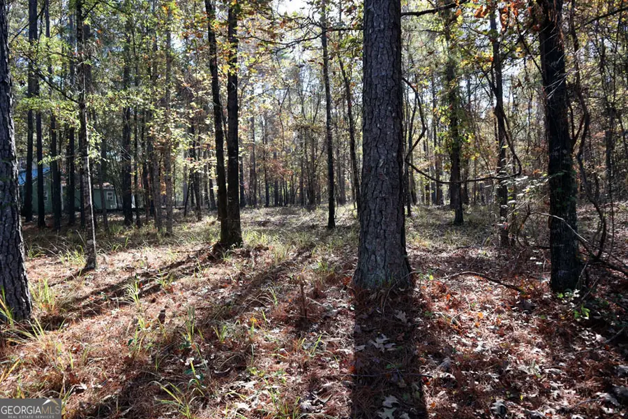 511 Jamesway Drive, Sparta, GA 31087 - Image #2