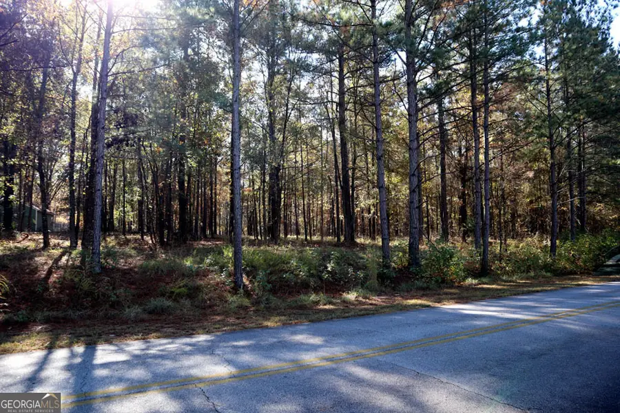 511 Jamesway Drive, Sparta, GA 31087 - Image #3