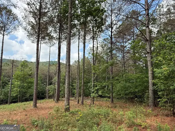 LOT 9 Eastview Trail, Ellijay, GA 30536
