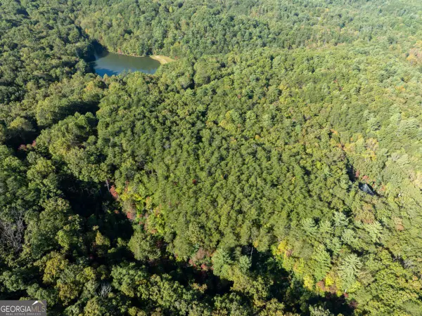 TRACT 1 Turniptown Road, Ellijay, GA 30536