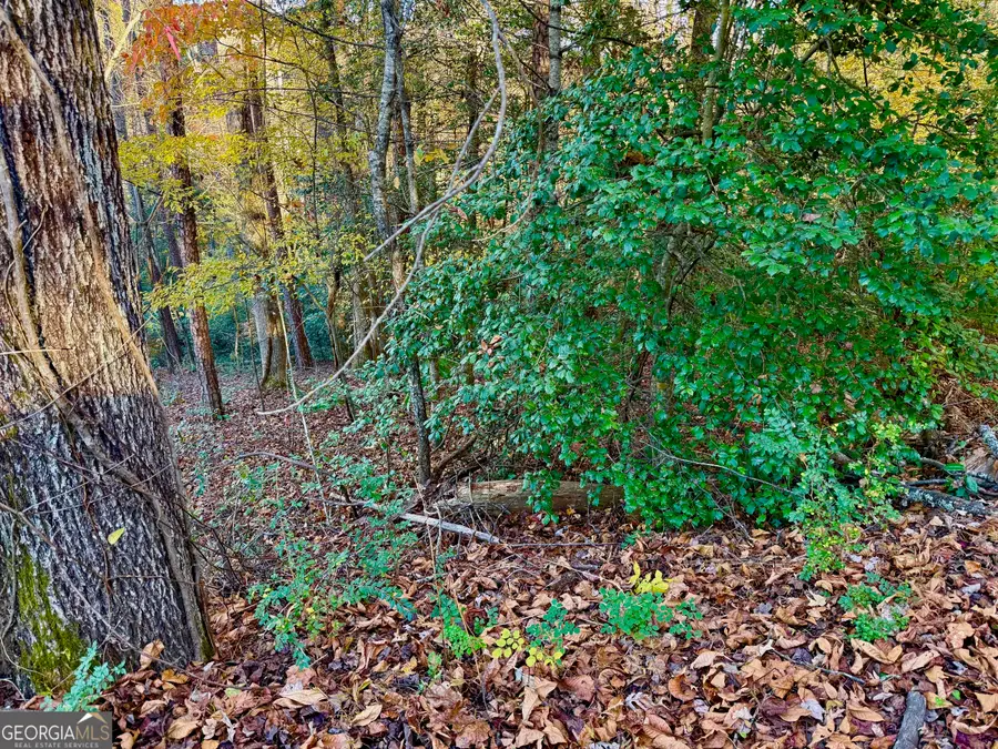 0 Newton Circle, Blairsville, GA 30512 - Image #2