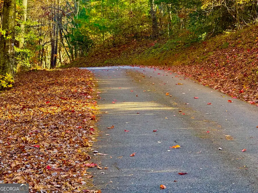 0 Newton Circle, Blairsville, GA 30512 - Image #3