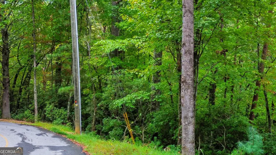 0 Grimes Nose #40, Sautee Nacoochee, GA 30571 - Image #3