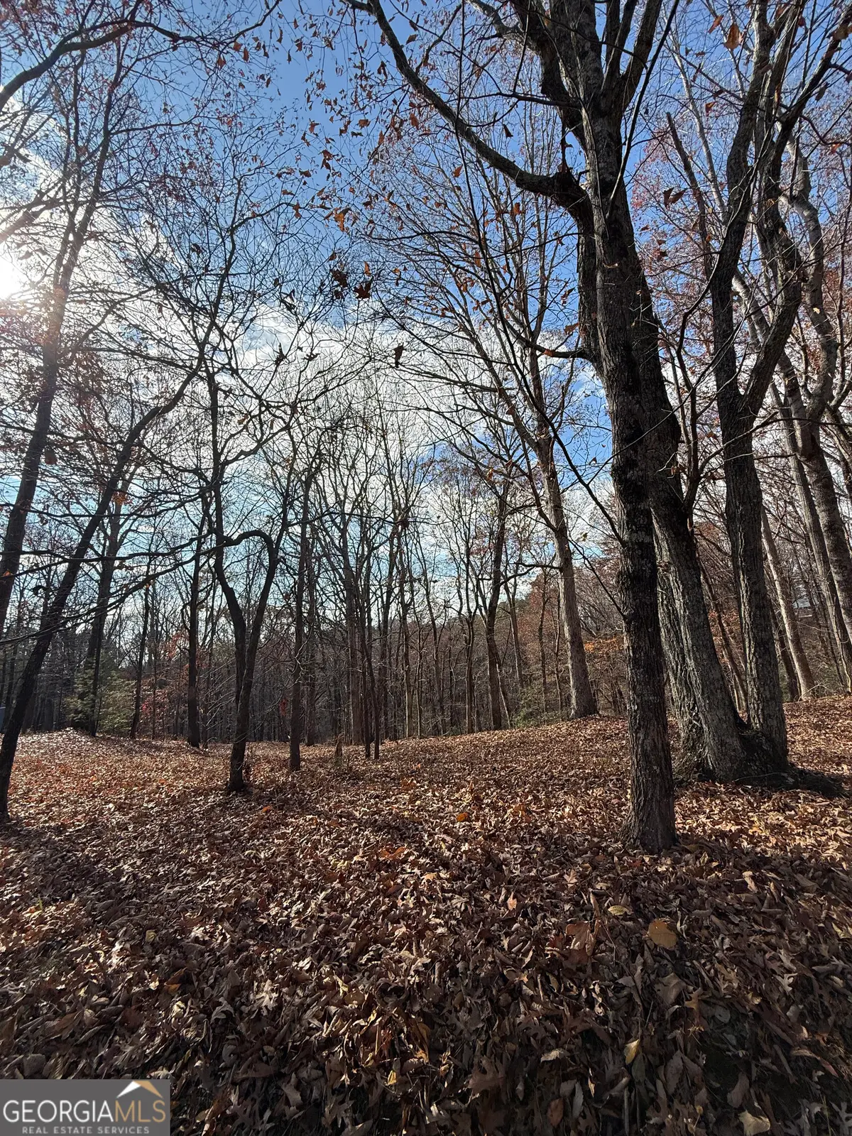 0 Orchard Road, Jasper, GA 30143 - Image #1