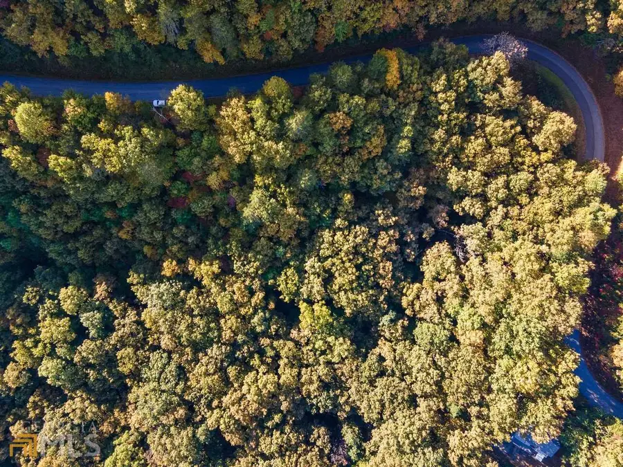 0 Mountain View Drive, Cleveland, GA 30528 - Image #3