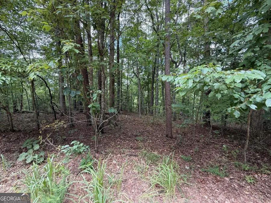 0 Winters Mountain Road, Dahlonega, GA 30533 - Image #2