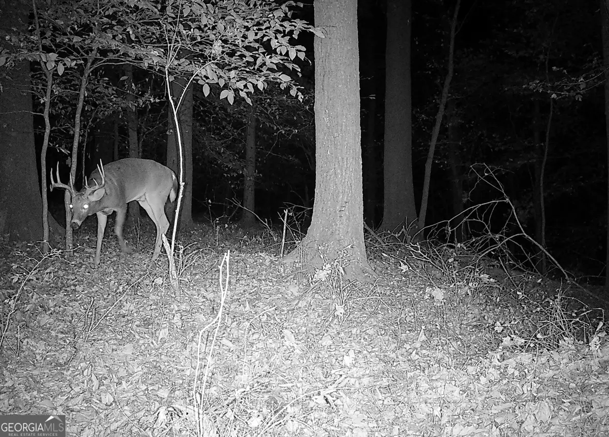 6 Wood Duck Drive, Elberton, GA 30635 - Image #1