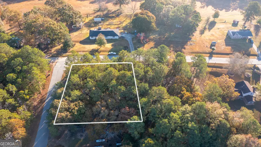 0 Mcdowell Road, Shiloh, GA 31826 - Image #3