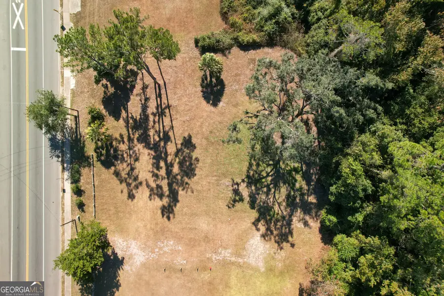 0 Hwy 17, Kingsland, GA 31548 - Image #3