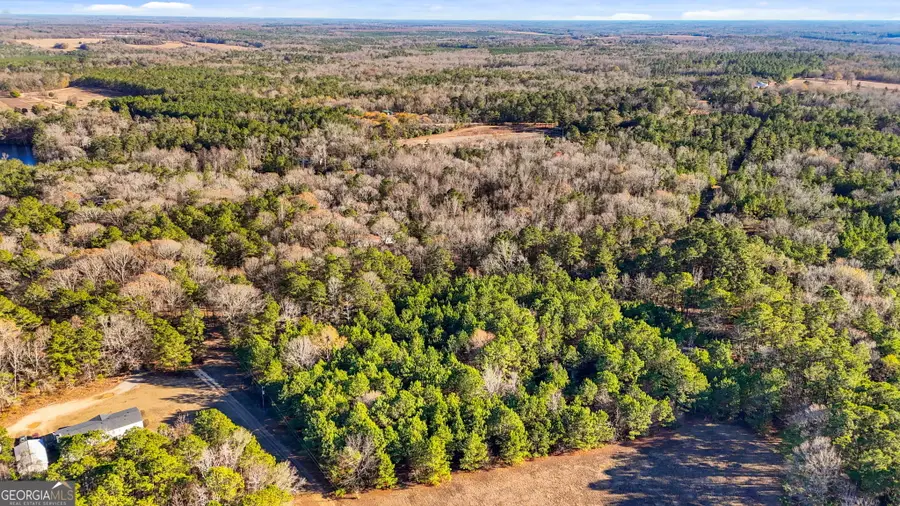 0 Giles Road, Fort Valley, GA 31030 - Image #3