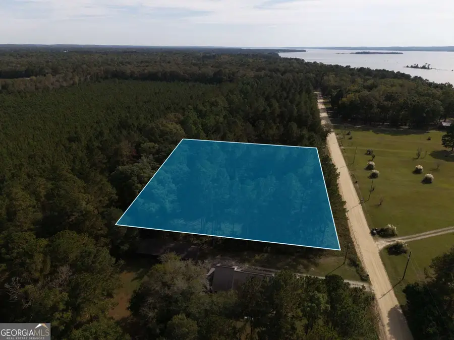 303 Jenny Lynn Lane, Georgetown, GA 39854 - Image #3