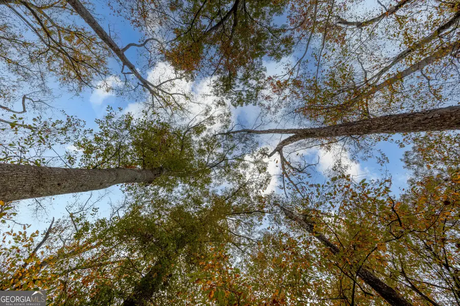 0 Bullock Bridge Road #TRACT 2, Monroe, GA 30656 - Image #2