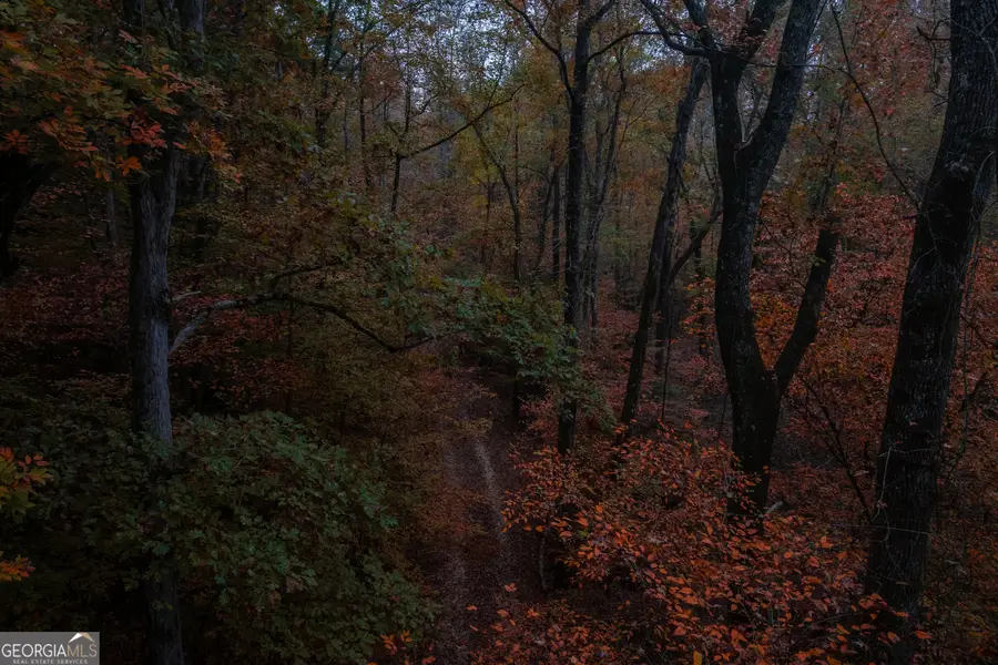 0 Bullock Bridge Road #TRACT 3, Monroe, GA 30656 - Image #3