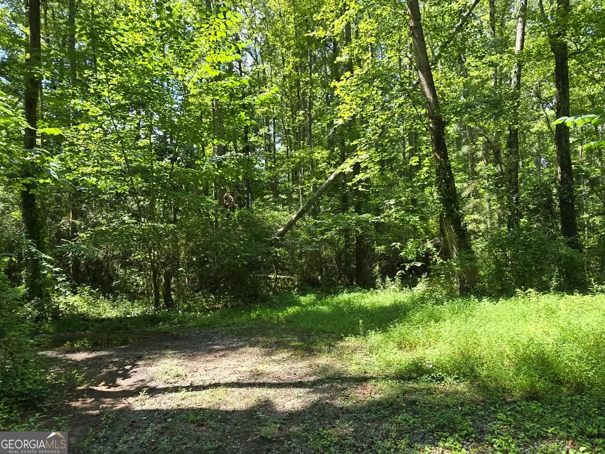 0 Sutton Mill Road, Clarkesville, GA 30523 - Image #1