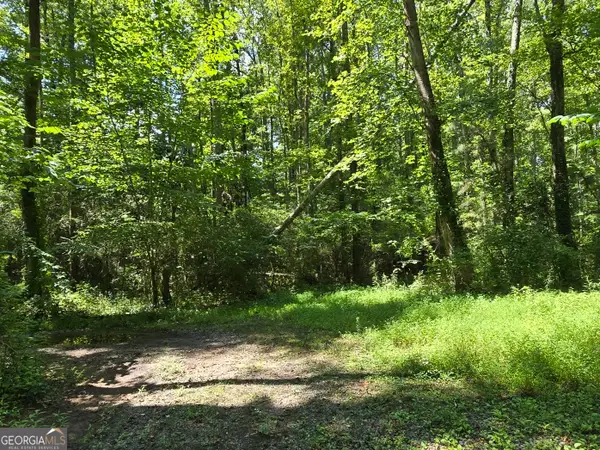 0 Sutton Mill Road, Clarkesville, GA 30523