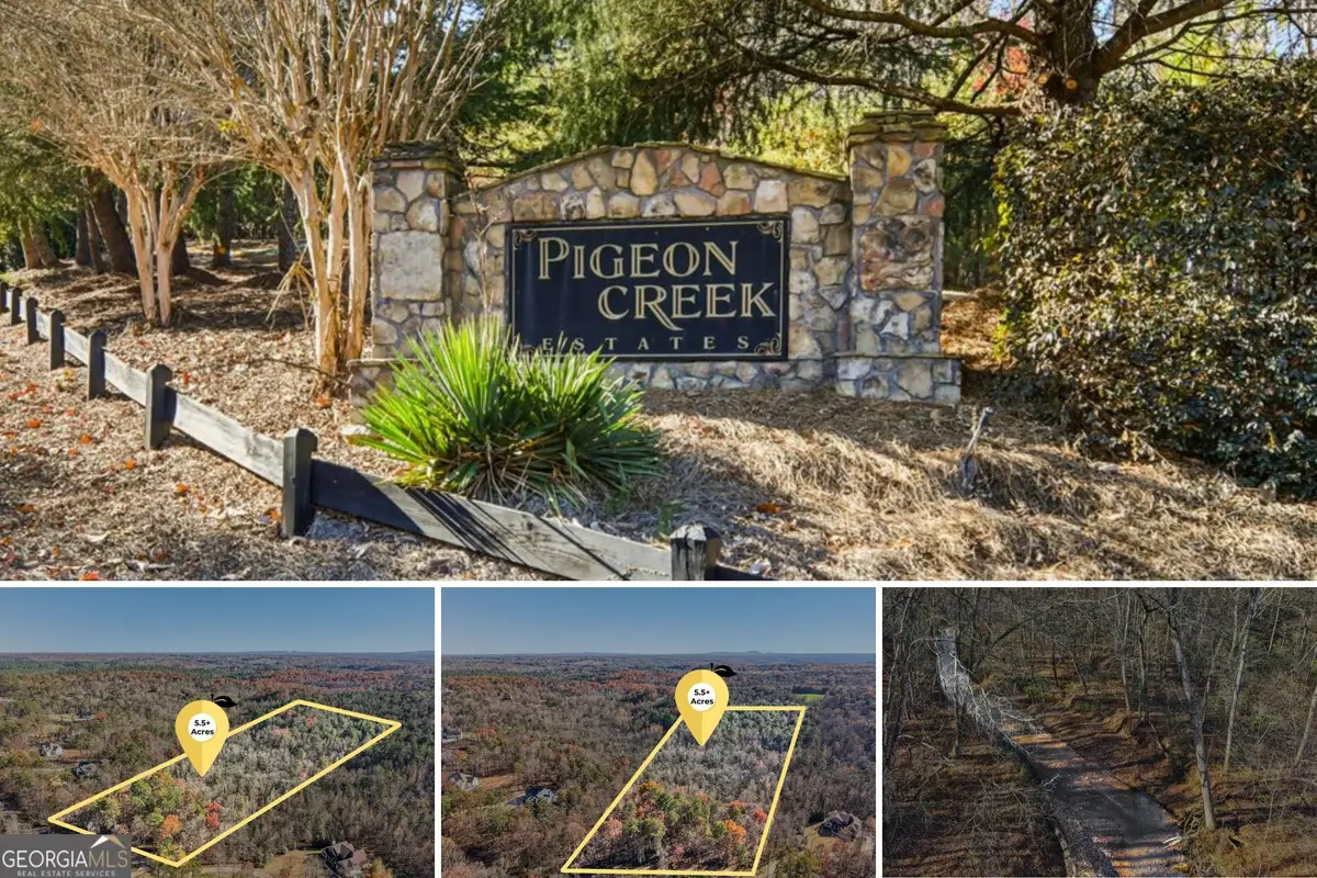 29 Pigeon Creek Drive, Dawsonville, GA 30534 - Image #1