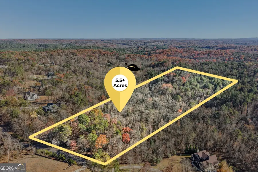 29 Pigeon Creek Drive, Dawsonville, GA 30534 - Image #3