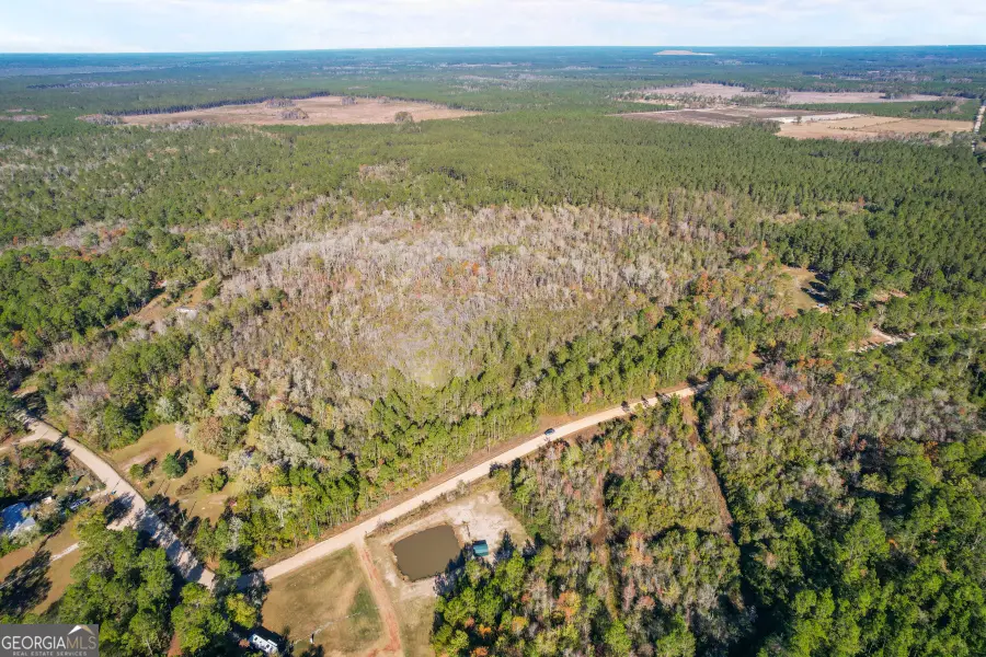 0 Johns Road, Hortense, GA 31543 - Image #2