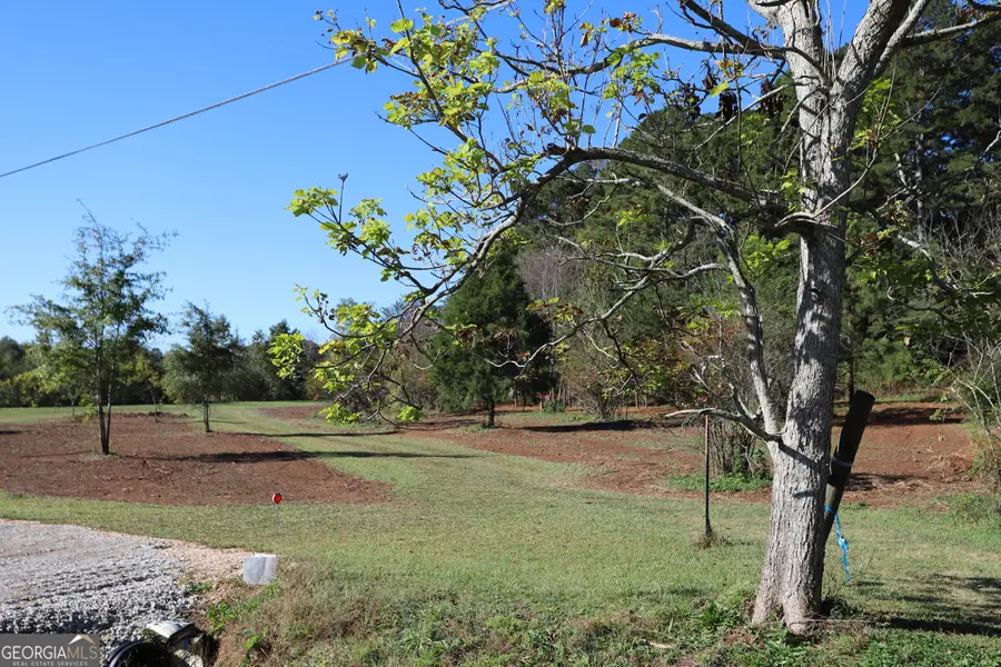 46 Buck Gardner Rd, Menlo, GA 30731 - Image #2