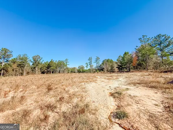 0 B & B Lane, Millen, GA 30442