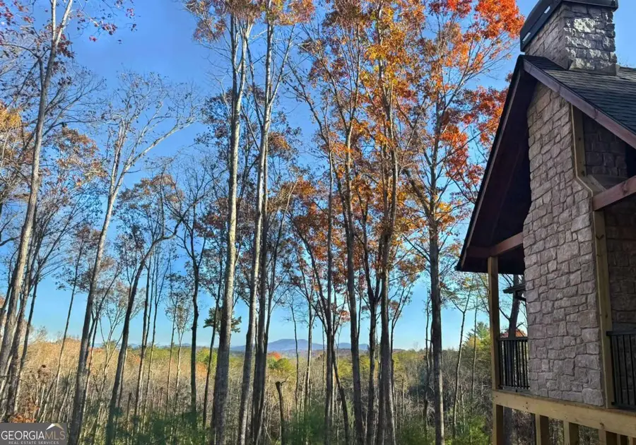 TRACT 1 Big Oak Lane, Blue Ridge, GA 30513 - Image #3