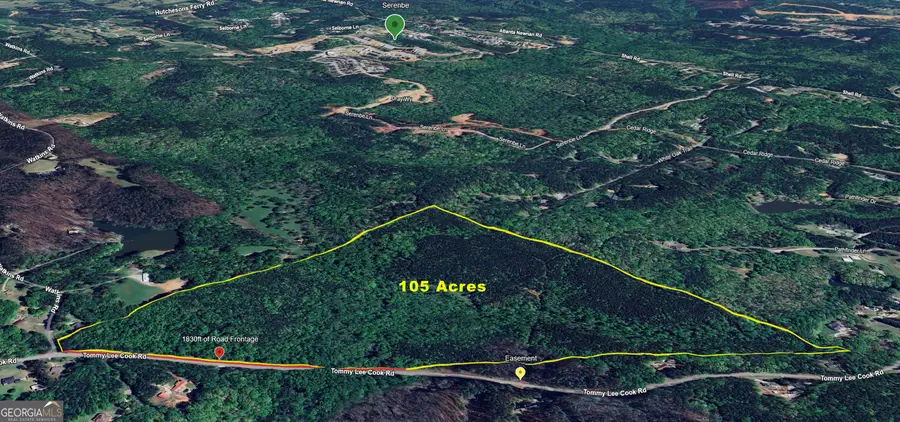 3201 Tommy Lee Cook Road, Newnan, GA 30263 - Image #2