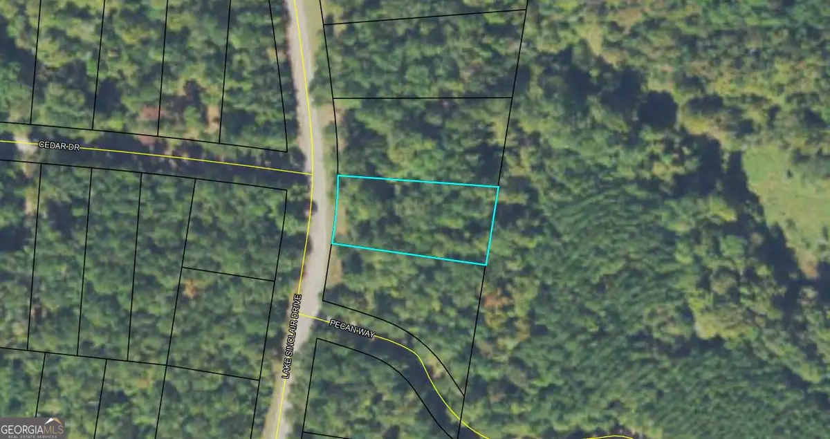 0.62AC Lake Sinclair Drive, Sparta, GA 31087 - Image #1