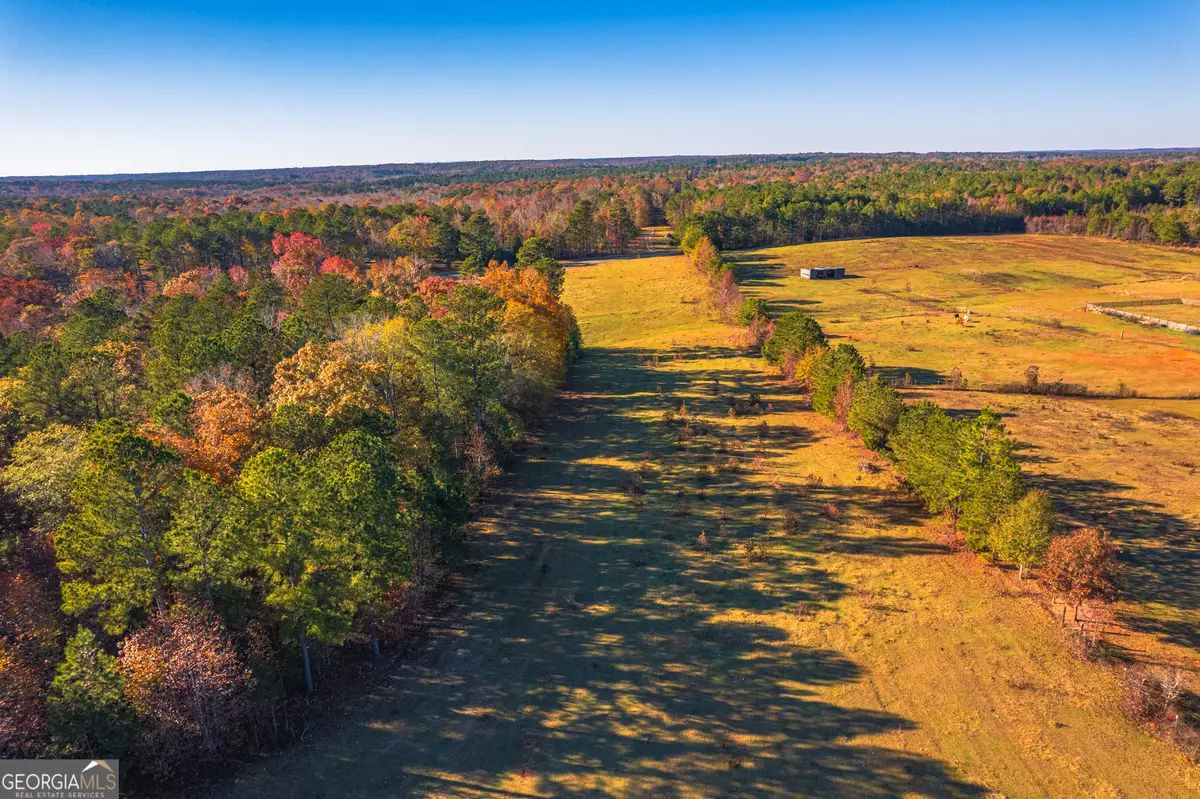 0 Pine Grove Church Road, Culloden, GA 31016 - Image #1