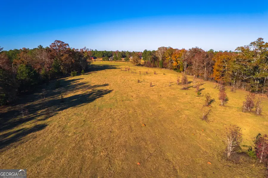 0 Pine Grove Church Road, Culloden, GA 31016 - Image #2