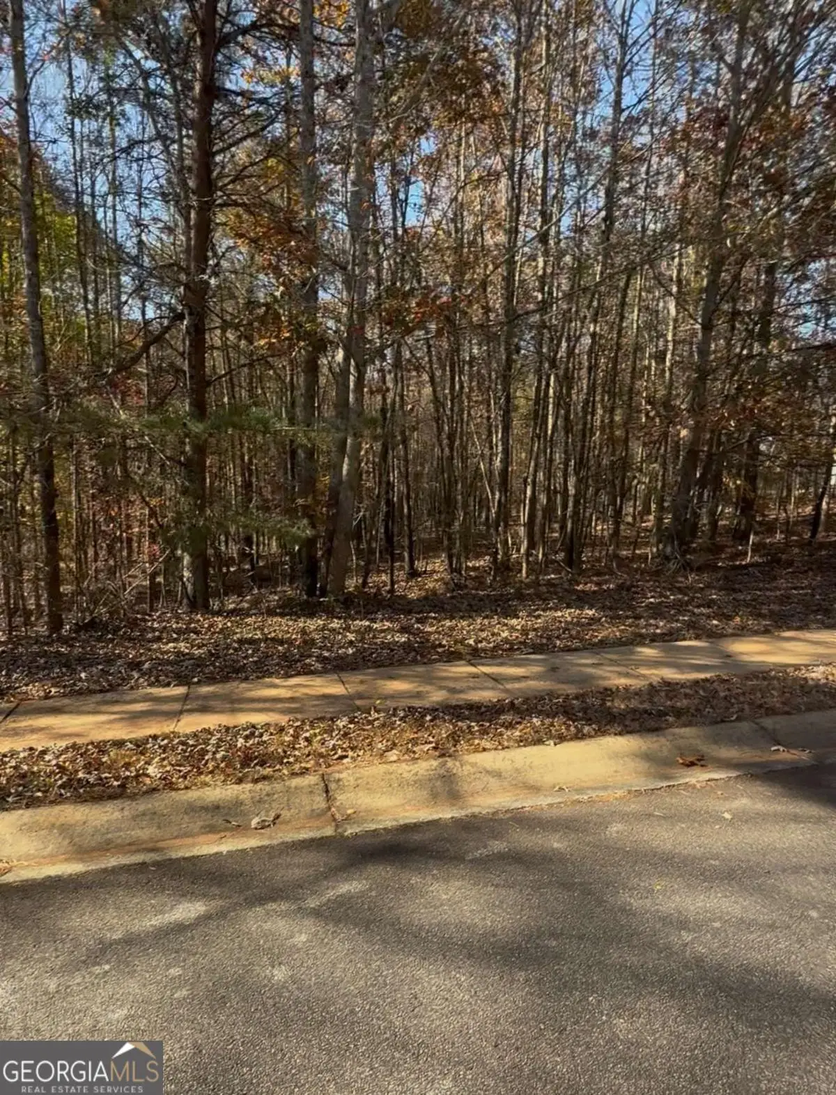 7655 Fern Lane, Lula, GA 30554 - Image #1