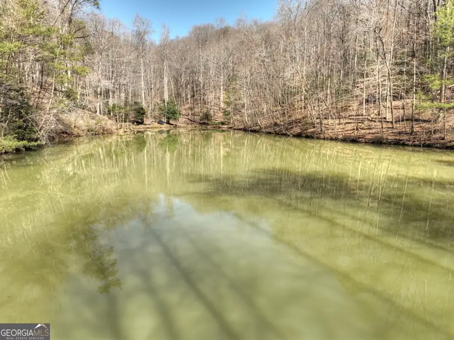 638 Cohutta Mountain Road #159, Cherry Log, GA 30522 - Image #2