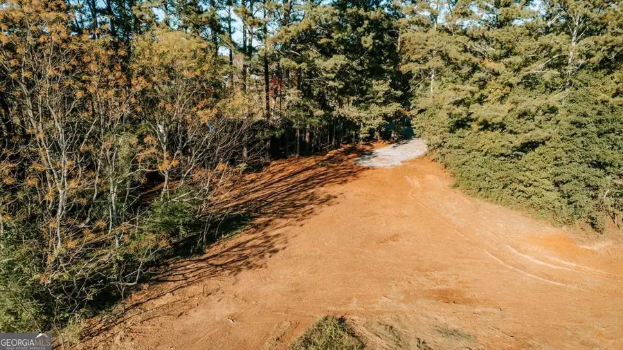 TRACT 6 Lakeview Drive, Winterville, GA 30683 - Image #2