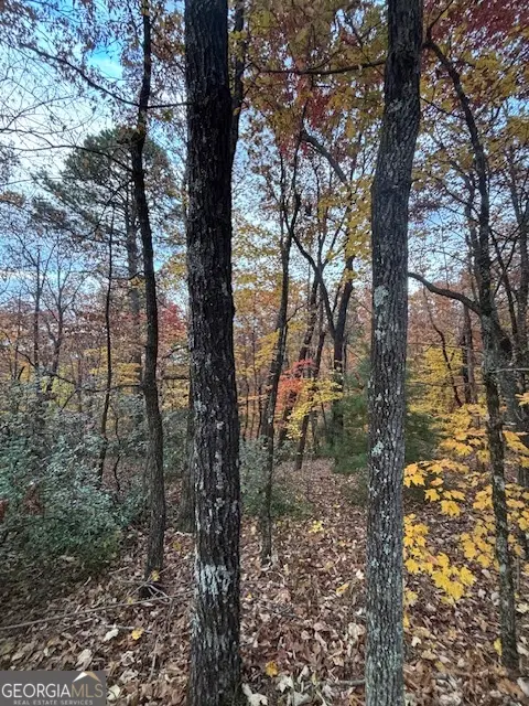 595 Whispering Dale Drive, Clarkesville, GA 30523 - Image #1