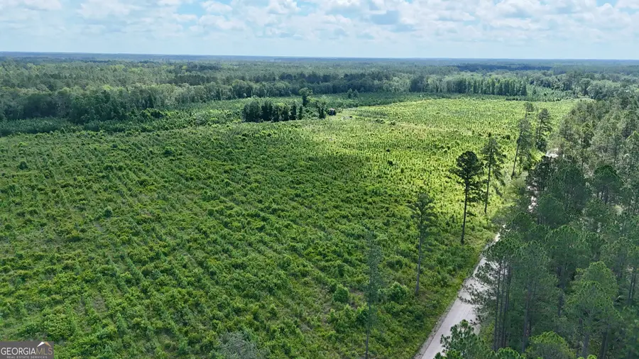 TRACT 2 Bennett Mill Pond Road, Odum, GA 31555 - Image #3