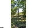 0 Briar Patch Lot 15 Place, Townsend, GA 31331 - Image #2