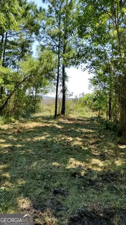 0 Briar Patch Lot 28 Place, Townsend, GA 31331 - Image #2