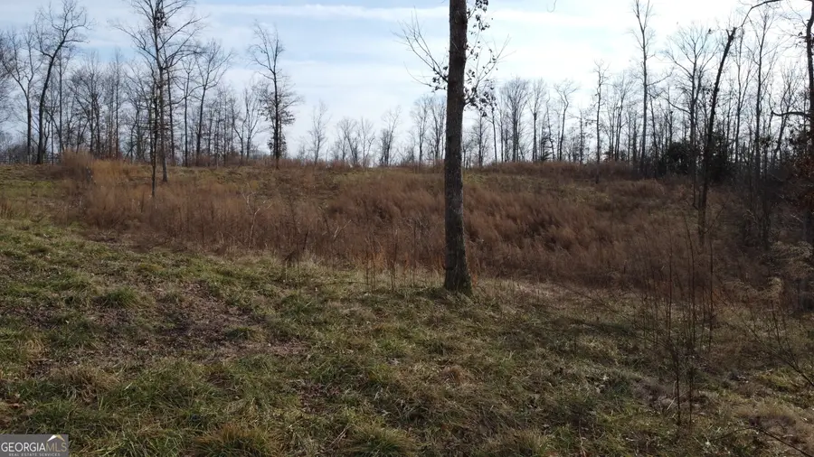 1.73 ACRES TR3 Garrison Road, Cornelia, GA 30531 - Image #2