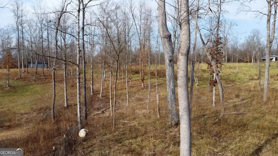 1.73 ACRES TR3 Garrison Road, Cornelia, GA 30531 - Image #3