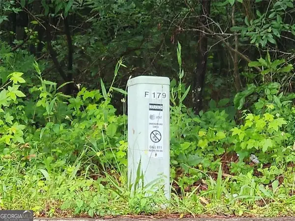 179 Ashley Trace Drive, Locust Grove, GA 30248