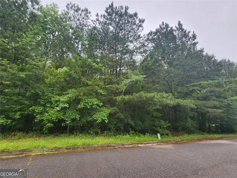 718 Derek Place, Locust Grove, GA 30248 - Image #3